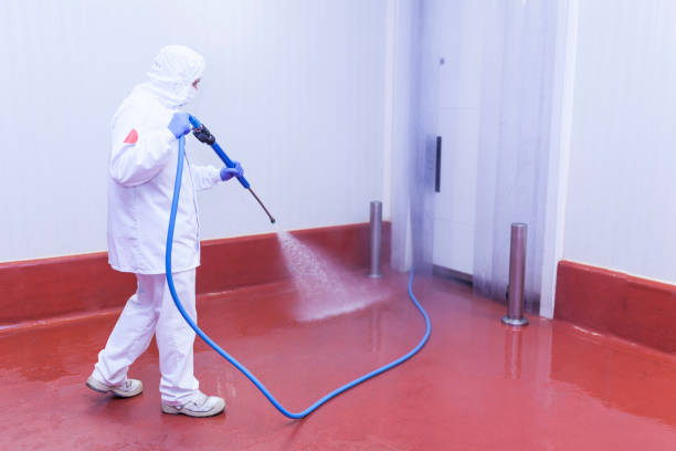 Reliable Philipsburg, MT Pressure Washing Services Solutions